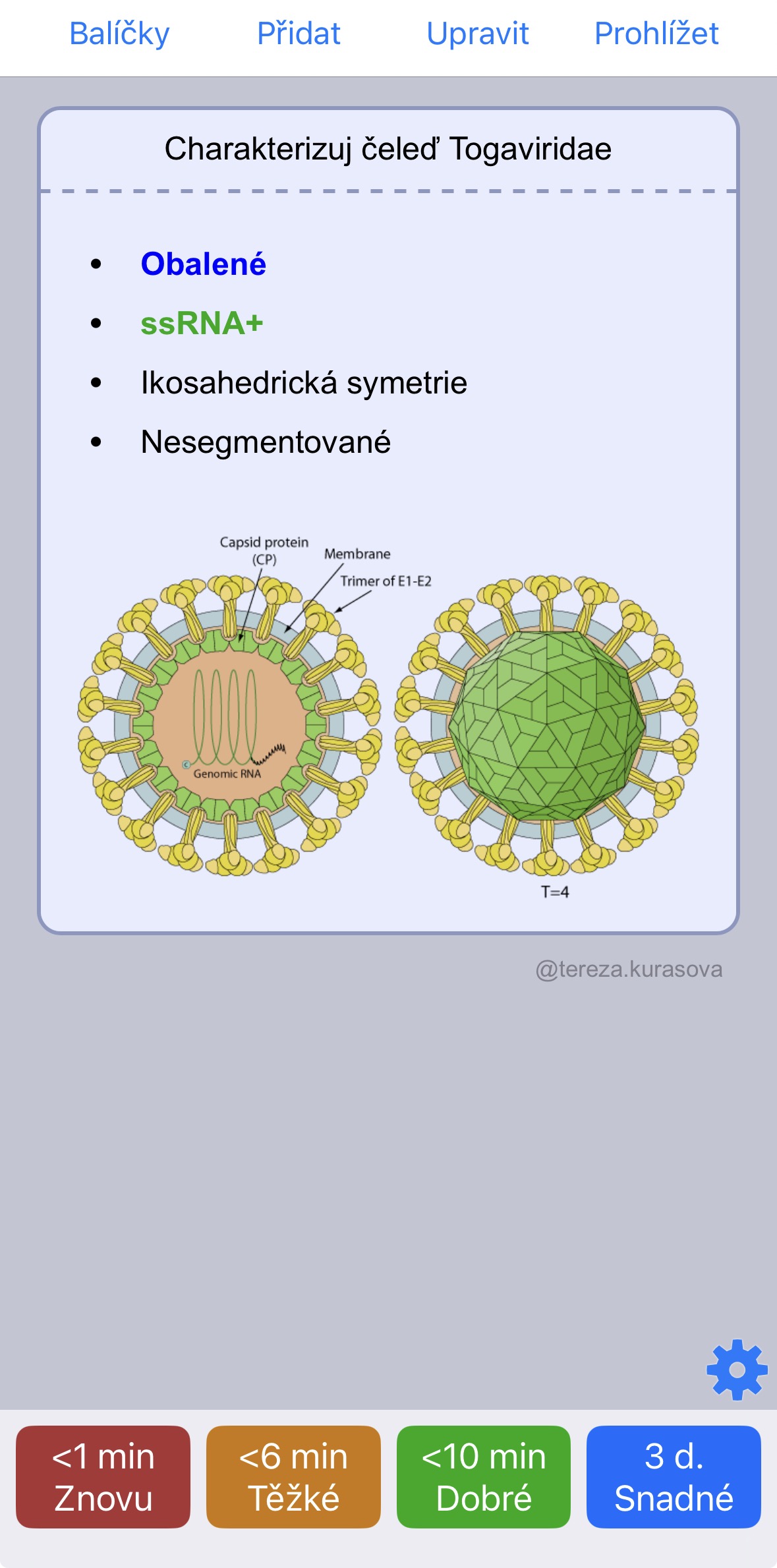 Mikrobiologie - Bakterie 2