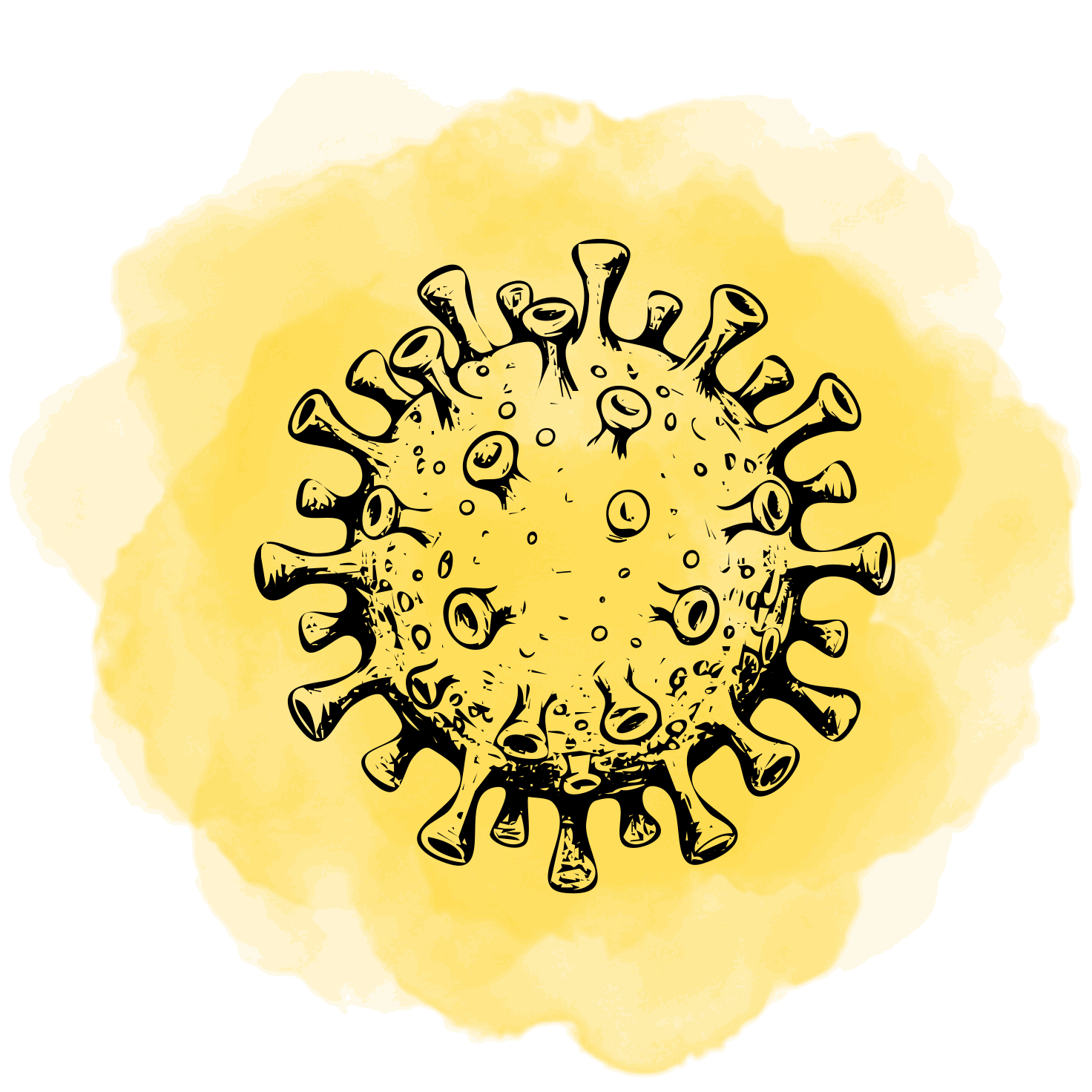Anki kartičky - Virologie